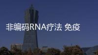 非編碼RNA療法 免疫原性、特異性、遞送難題如何各個擊破？