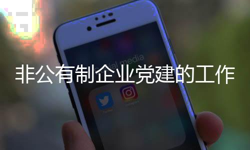 非公有制企業(yè)黨建的工作要求（非公有制企業(yè)）