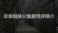 非親姐妹分集劇情詳細介紹11