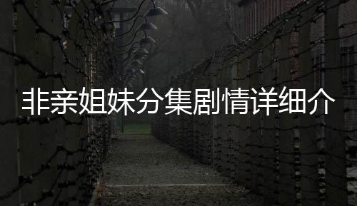 非親姐妹分集劇情詳細介紹1