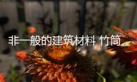 非一般的建筑材料 竹筒摩天大廈屌炸天（組圖）