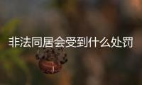 非法同居會(huì)受到什么處罰（非法同居造成影響需承擔(dān)什么后果）