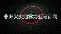 非洲火災煙霧為亞馬孫雨林“施肥”