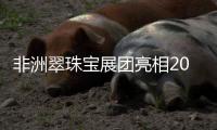 非洲翠珠寶展團亮相2024中國國際珠寶展