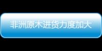 非洲原木進貨力度加大