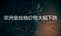 非洲金絲柚價(jià)格大幅下跌