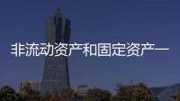 非流動資產和固定資產一樣嗎（非流動資產）