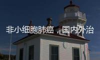 非小細胞肺癌，國內外治療方案大比拼（2022.5版）