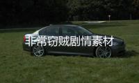 非常竊賊劇情素材