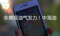 非常規油氣發力！中海油陸上發現千億方大氣田