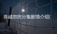 非誠勿擾分集劇情介紹(1