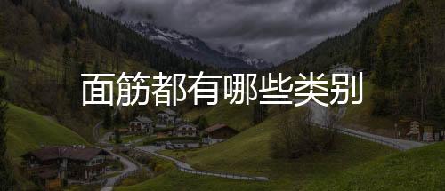 面筋都有哪些類別