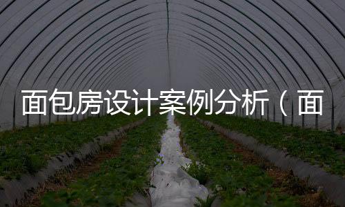 面包房設(shè)計(jì)案例分析（面包房設(shè)計(jì)）