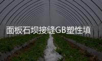 面板石壩接縫GB塑性填料SR系列止水材料試驗