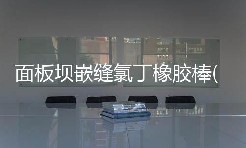面板壩嵌縫氯丁橡膠棒(條) PVC棒 防滲蓋片大量現貨