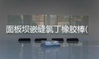 面板壩嵌縫氯丁橡膠棒(條) PVC棒 防滲蓋片大量現貨