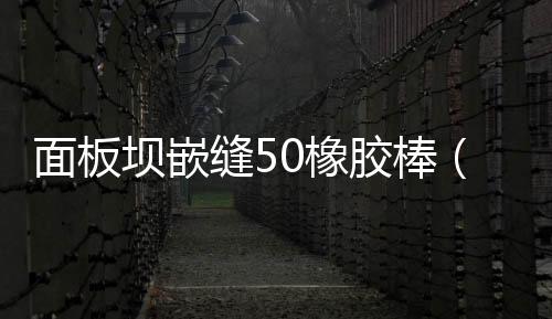 面板壩嵌縫50橡膠棒（氯丁橡膠棒）報價