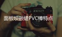 面板壩嵌縫PVC棒特點(diǎn)