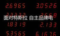 面對特斯拉 自主品牌電動車該學些什么？