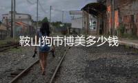 鞍山狗市博美多少錢