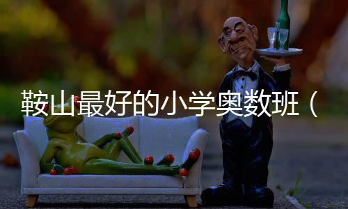 鞍山最好的小學(xué)奧數(shù)班（小學(xué)奧數(shù)班）
