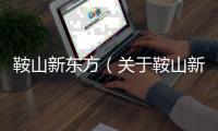 鞍山新東方（關于鞍山新東方的基本情況說明介紹）