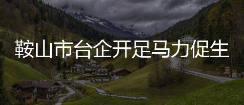 鞍山市臺企開足馬力促生產 奮力沖刺“開門紅”