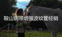 鞍山鋼帶增強(qiáng)波紋管經(jīng)銷商、品牌廠家