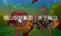 鞍山鋼鐵集團（關于鞍山鋼鐵集團的基本情況說明介紹）