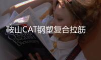 鞍山CAT鋼塑復合拉筋帶性能說明