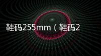 鞋碼255mm（鞋碼255）