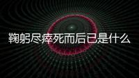 鞠躬盡瘁死而后已是什么意思 百度網盤