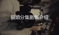 銀婚分集劇情介紹