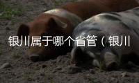 銀川屬于哪個省管（銀川屬于哪個?。?/></div></a><sup lang=