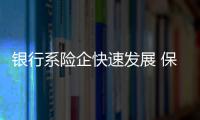 銀行系險企快速發展 保費收入增長迅猛