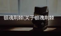 銀魂荊棘(關于銀魂荊棘簡述)