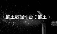 鋪王數據平臺（鋪王）