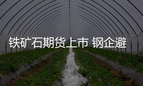 鐵礦石期貨上市 鋼企避險(xiǎn)再添新工具