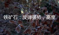 鐵礦石：反彈強勢，高度存疑