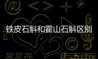 鐵皮石斛和霍山石斛區別（霍山石斛與鐵皮石斛有什么區別）