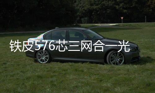 鐵皮576芯三網合一光交箱【資訊】