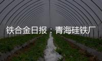 鐵合金日報：青海硅鐵廠減產，雙硅價差走擴