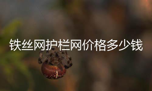 鐵絲網護欄網價格多少錢一米（鐵絲護欄網價格）