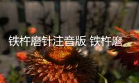 鐵杵磨針注音版 鐵杵磨針拼音版
