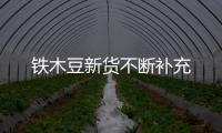 鐵木豆新貨不斷補充