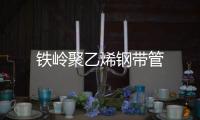 鐵嶺聚乙烯鋼帶管