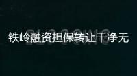 鐵嶺融資擔保轉(zhuǎn)讓干凈無異常