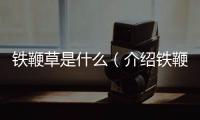 鐵鞭草是什么（介紹鐵鞭草的品種特點和栽培方法）