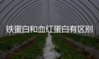 鐵蛋白和血紅蛋白有區別!通過這2點可詳細區分