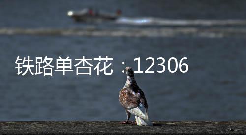 鐵路單杏花：12306 車票售罄即無票，第三方平臺顯示有票為誘導行為